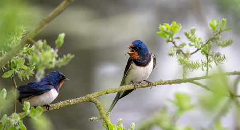 Image du portrait de Maryline pour Odile Rencontres